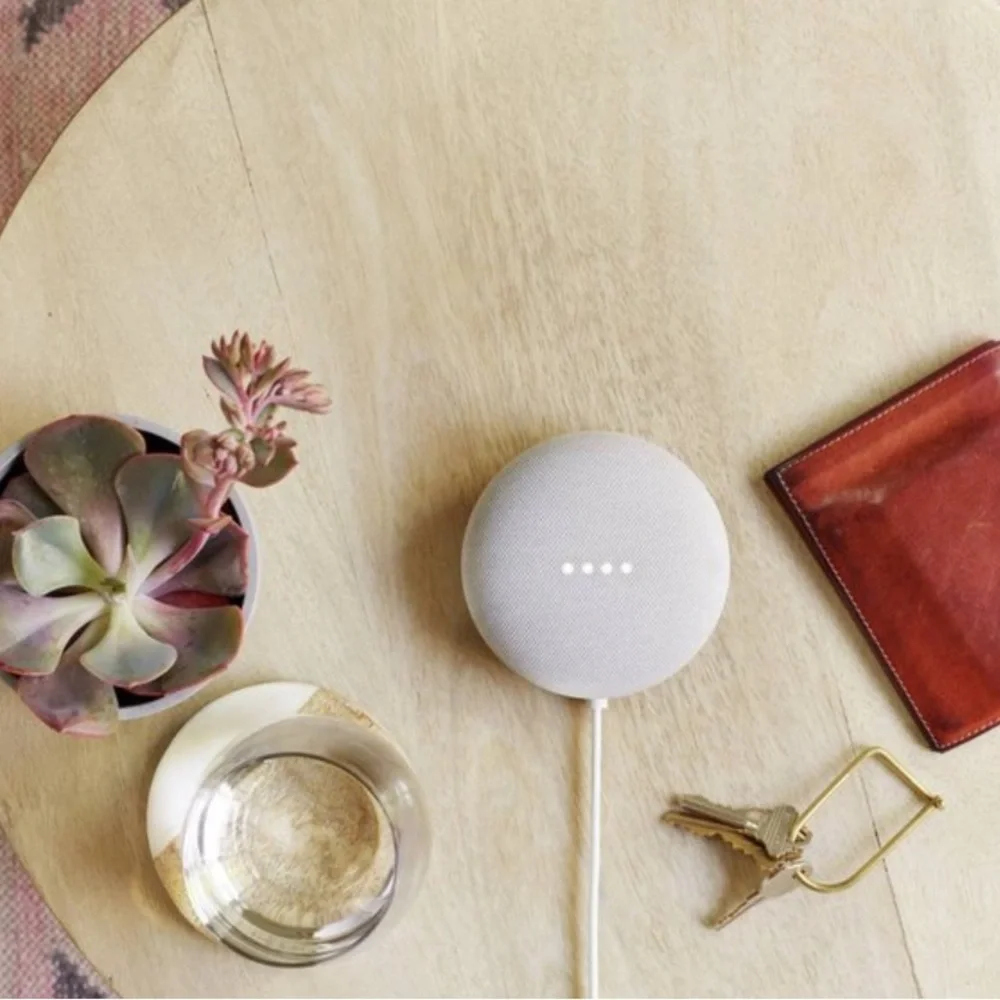 Google Nest Mini